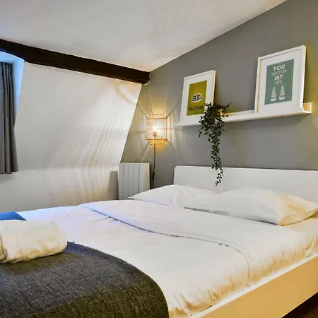 Grand-place & Vieux-lille: Equipped Duplex