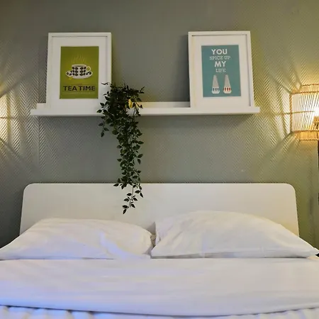 Grand-place & Vieux-lille: Equipped Duplex *